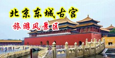 巨大屌视频中国北京-东城古宫旅游风景区